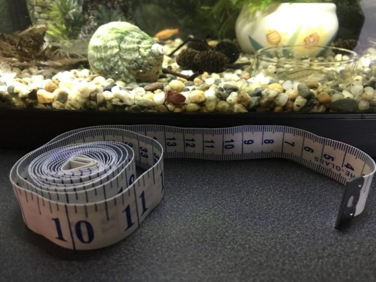 How To Calculate Aquarium/Fish Tank Water Volume - Tape Measure 2 Mine 768x576